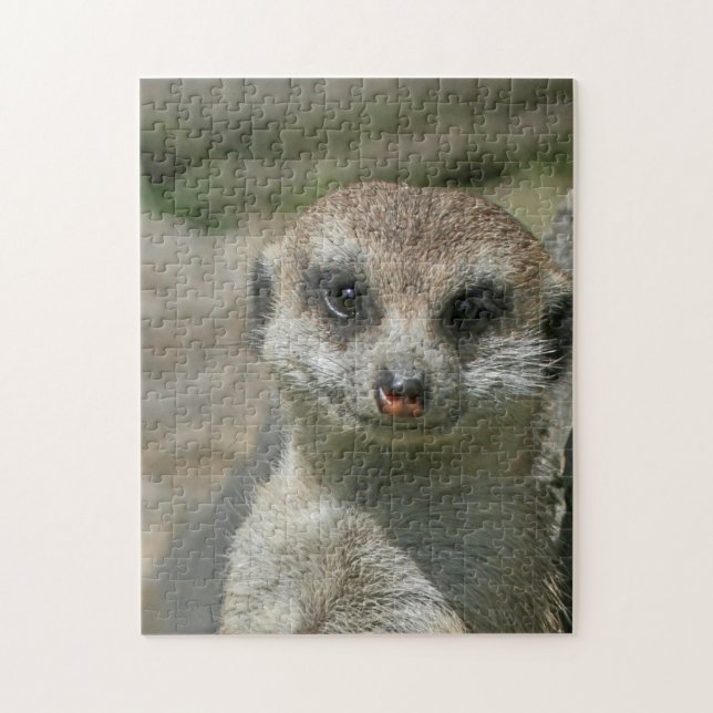 Puzzle Meerkat 005 (Vertical)