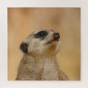 Puzzle Meerkat 011