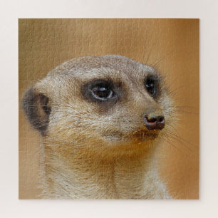 Puzzle Meerkat 154