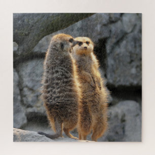Puzzle Meerkats en miroir
