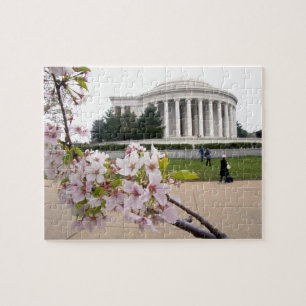 Puzzle Mémorial Thomas Jefferson avec cerisiers en fleurs