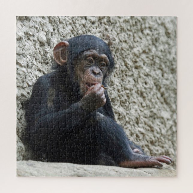 Puzzle Mer de Chimpané 013 (Vertical)