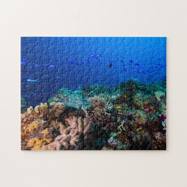 Puzzle Mer de corail - poissons et récif tropicaux - (Horizontal)