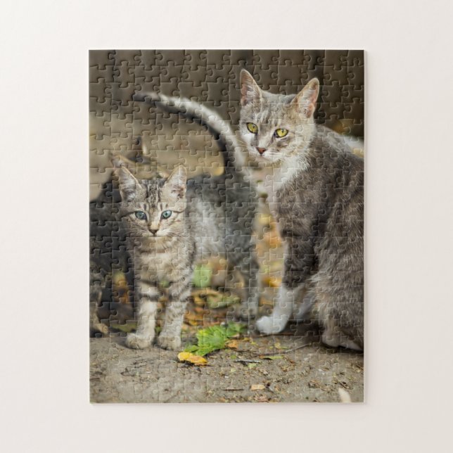 Puzzle Mère et bébé Animal Chat Photographie Animal (Vertical)