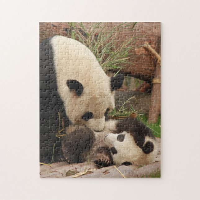 Puzzle Mère et bébé Animal Panda Ours PhotographieAnimal (Vertical)