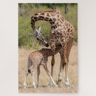 Puzzle Mère et bébé en girafe au Kenya