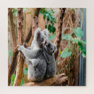 Puzzle Mère Et Bébé Koala Ours