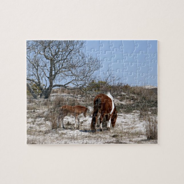 Puzzle Mère et poulain au parc national d'Assateague (Horizontal)