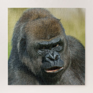 Puzzle Mère Gorilla
