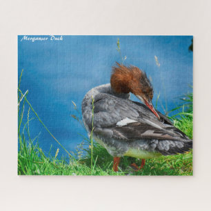 Puzzle Merganser Duck