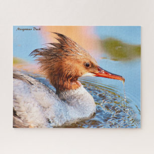 Puzzle Merganser Duck