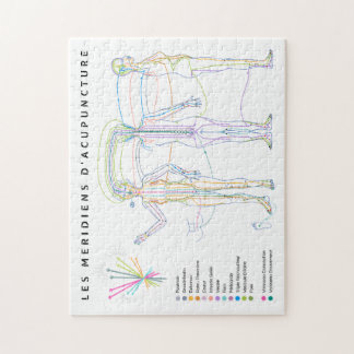 Puzzle Méridiens d'Acupuncture, médecine chinoise