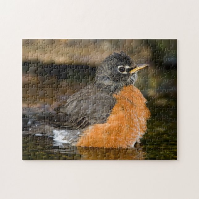 Puzzle Merle américain se baignant 2 (Horizontal)