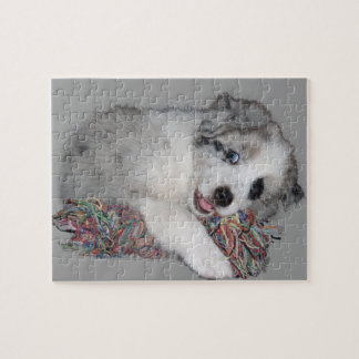 Puzzle merle de bleu de chiot de border collie