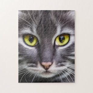 Puzzle Merveilleux portrait de chat