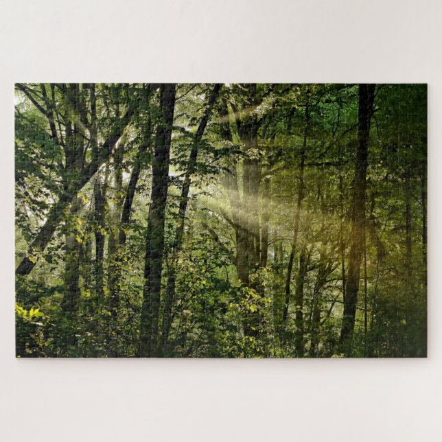 Puzzle Merveilleux Sunbeams dans la forêt matinale (Horizontal)