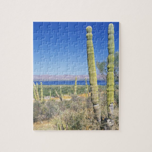 Puzzle Mexique, Basse Californie Sur, Mulege, Bahia (Vertical)