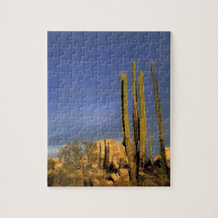 Puzzle Mexique, Basse du Nord, Catavina Desert National