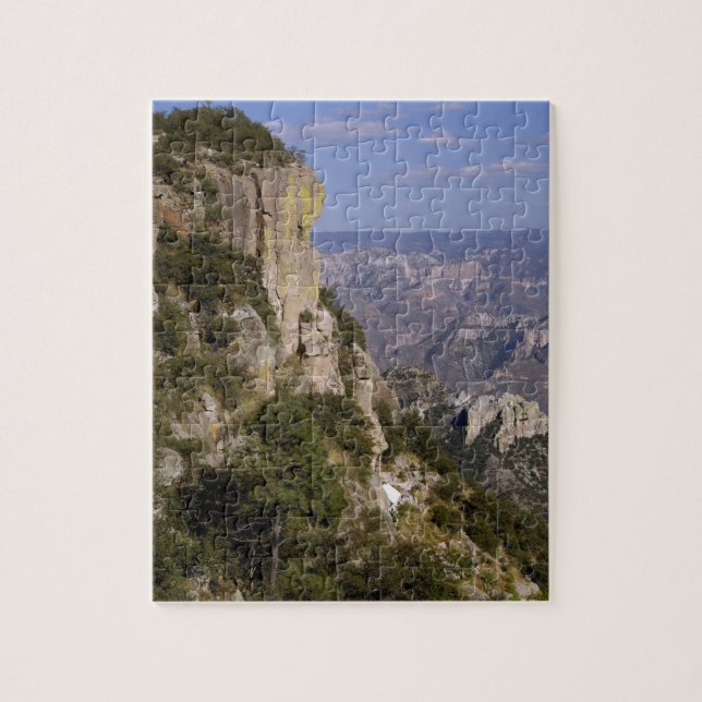 Puzzle Mexique, État de Chihuahua, Copper Canyon. CECI 2 (Vertical)