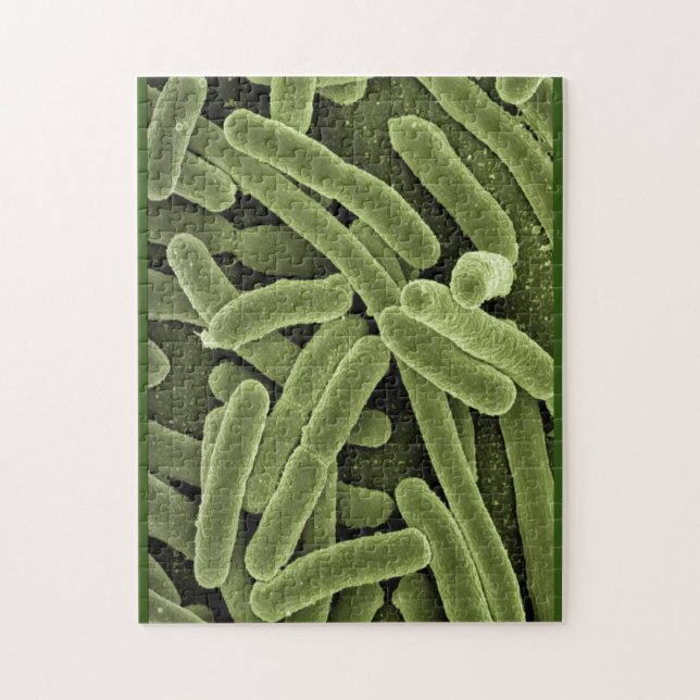 Puzzle Microscopio e.coli (Vertical)