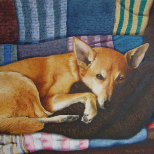 Puzzle mignon berger allemand labrador cross race dog