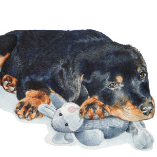 Puzzle mignon chiot rottweiler bouddin ourson en peluche