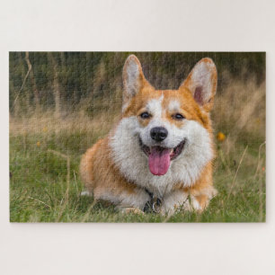 Puzzle Mignon corgi photo de chien