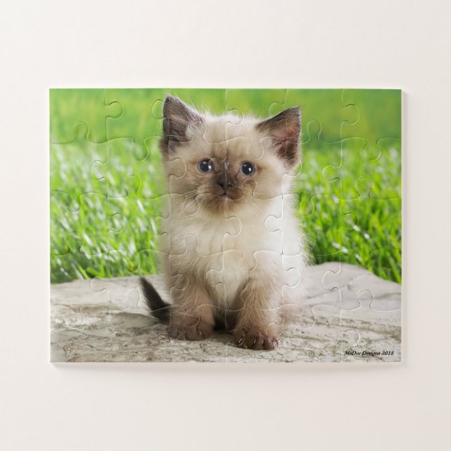 Puzzle mignon de Kitty (Horizontal)