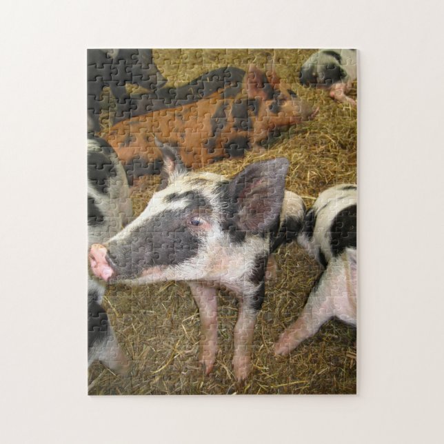 Puzzle mignon de porc (Vertical)