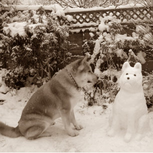 Puzzle mignonne akita dans la neige avec bonhomme de neig
