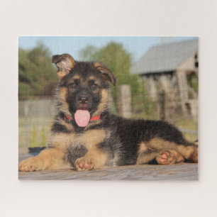 Puzzle Mignonne berger allemand Chien chiot