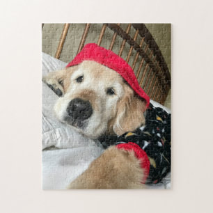 Puzzle Mignonne Golden Retriever Chien en Pyjamas