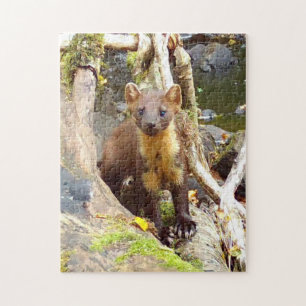 Puzzle Mignonne martre des pins sur une bûche faune et fl