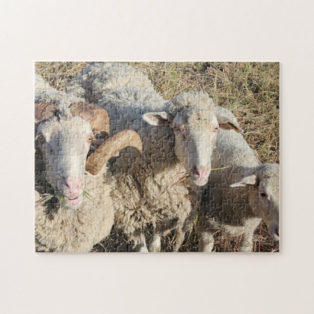 Puzzle Mignonne Moutons Famille Animaux Agneau (Horizontal)