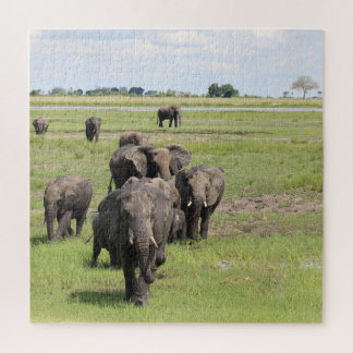 Puzzle Migration des éléphants