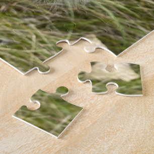 Puzzle Milkweed Butterfly