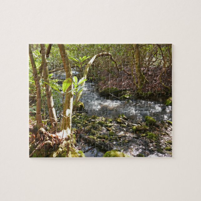 Puzzle Mingus Creek dans les Smoky Mountains (Horizontal)