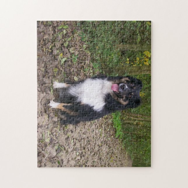 Puzzle Miniature American Shepherd Black Tri assis (Vertical)