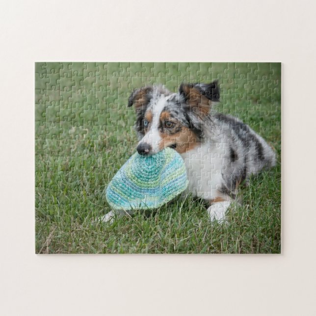 Puzzle Miniature American Shepherd Blue Merle avec jouet (Horizontal)