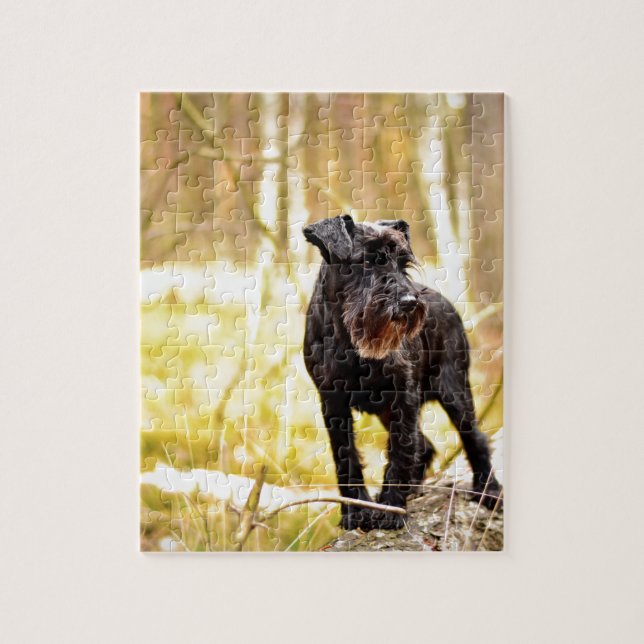 Puzzle miniature-schnauzer (Vertical)