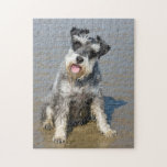 Puzzle Miniature Schnauzer, photo-puzzle<br><div class="desc">Belle photo d'un mignon chien schnauzer miniature assis sur le puzzle de la plage.  bonne idée cadeau pour les amoureux de les chiens</div>