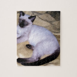 Puzzle Minou mignon d'animal familier animal d'art de