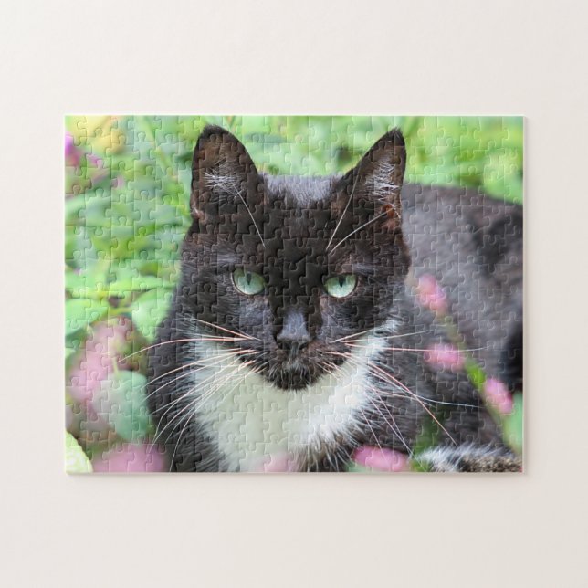 Puzzle Minou noir et blanc dans le jardin (Horizontal)