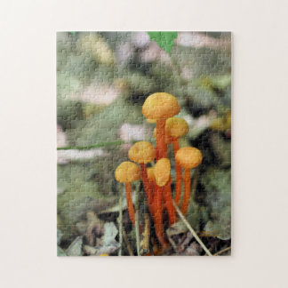 Puzzle Minuscule Champignons sauvages Orange Nature