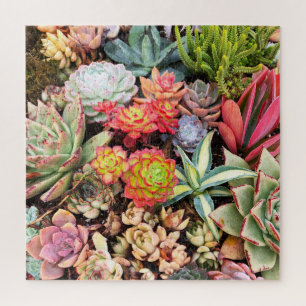 Puzzle MixPuzzle succulent rouge coloré