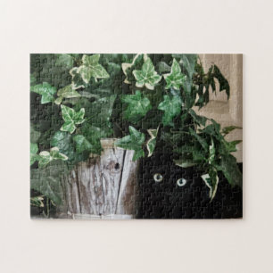 Puzzle Mode Super Stealth, 11" x 14", 252 pièces