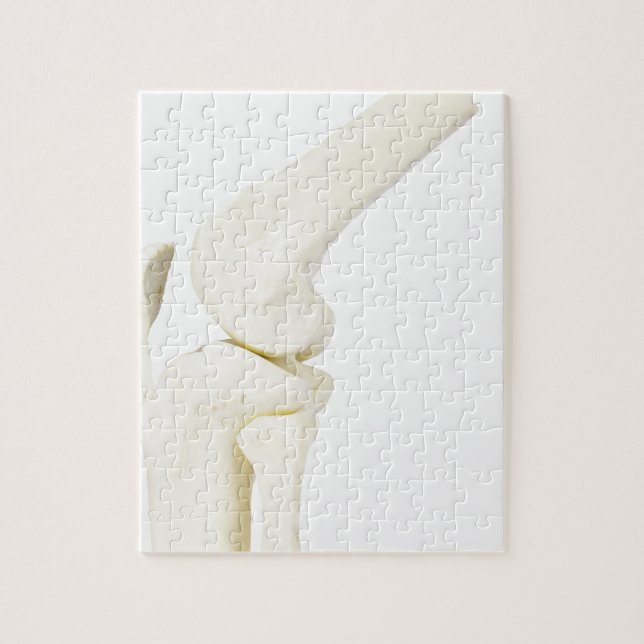 Puzzle Modèle d'articulation de genou de jambe humaine (Vertical)