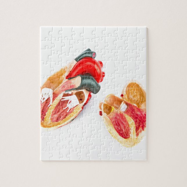 Puzzle Modèle humain de coeur d'isolement sur l'arrière - (Vertical)