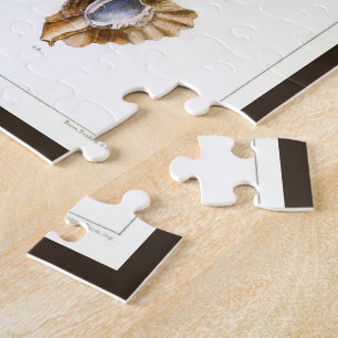 Puzzle Mollusques et escargots, organismes marins vintage
