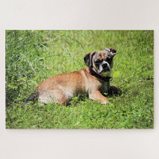 Puzzle Molly (Horizontal)